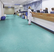 Forbo Marmoleum Decibel on Order 326735 aqua фото 2 | FLOORDEALER